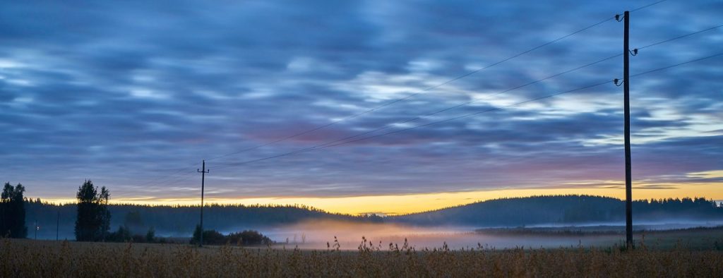 Aleksis Kiven päivä – suomalaisen kirjallisuuden päivä